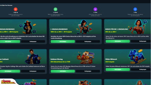 BetPortal Casino bonus